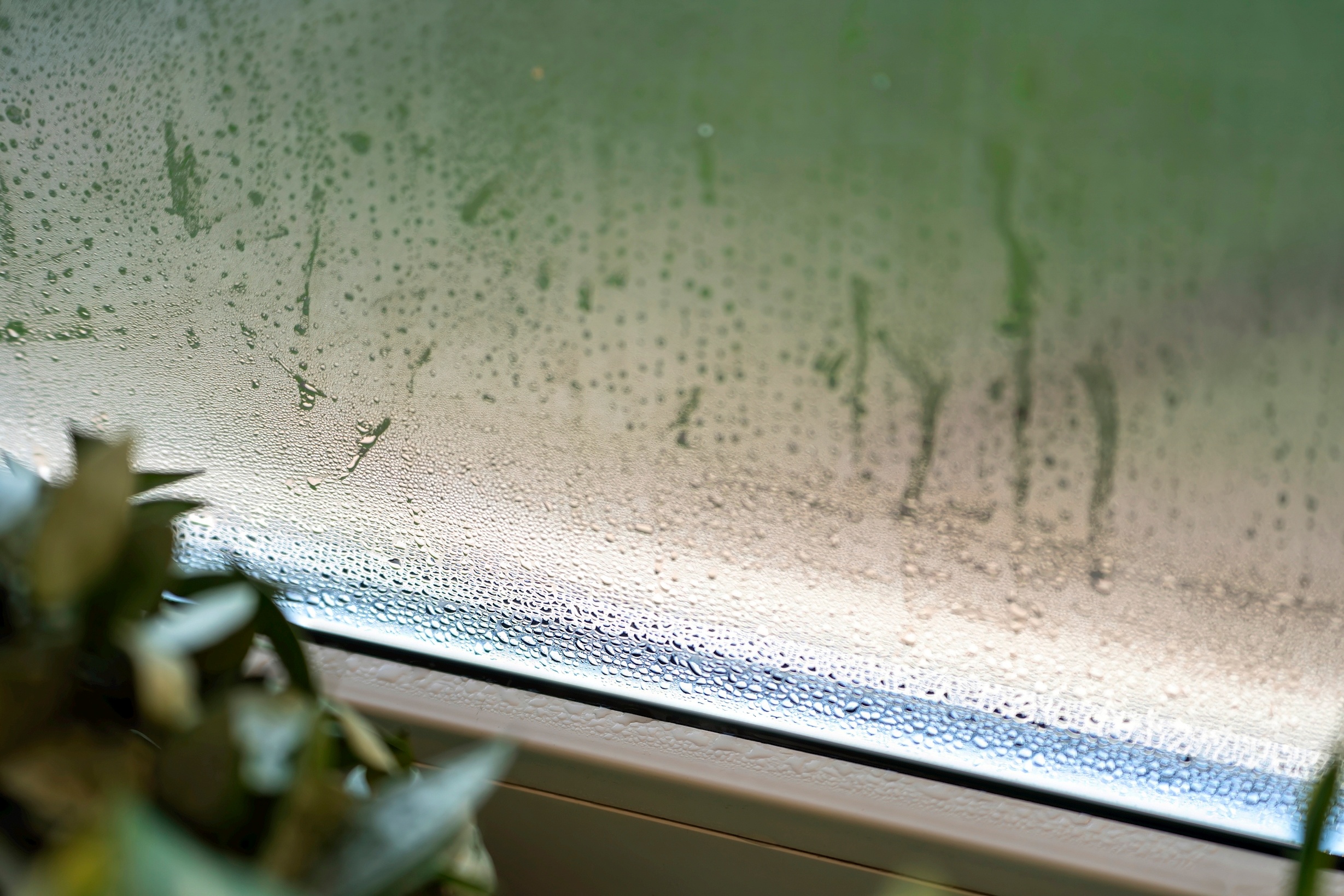 Why are my windows steamed up on the outside and not the inside?