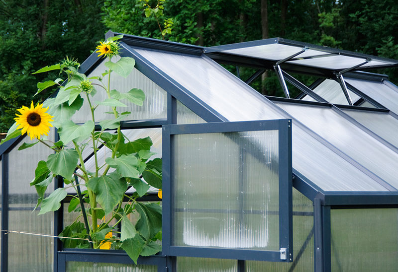 Greenhouse glass